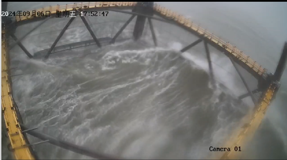 堅如磐石！公司網(wǎng)箱以硬實力抵御17級臺風，憑技術創(chuàng)新力保養(yǎng)殖安全