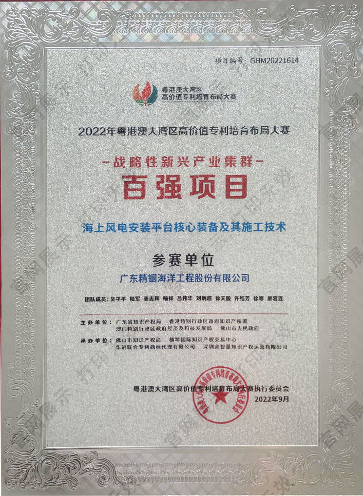 大灣區(qū)專利布局大賽百強(qiáng)項(xiàng)目